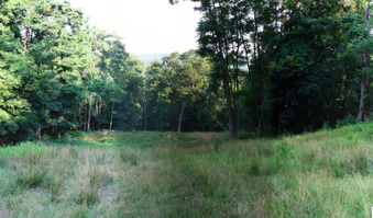Enlarge photo 60