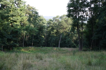 Enlarge photo 61