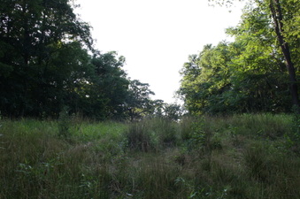 Enlarge photo 62