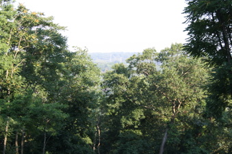 Enlarge photo 63