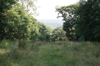 Enlarge photo 64