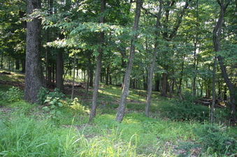 Enlarge photo 67