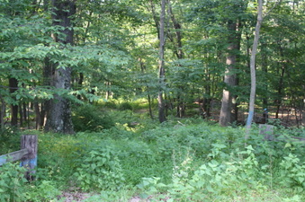 Enlarge photo 69