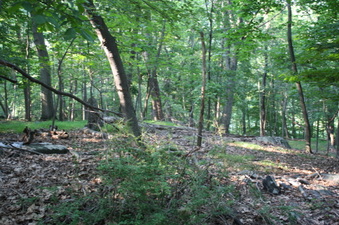 Enlarge photo 70