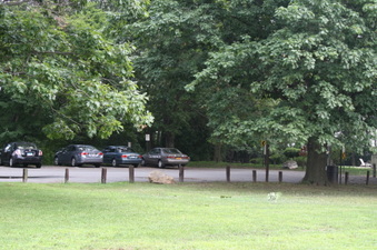 Enlarge photo 15