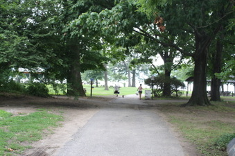 Enlarge photo 18
