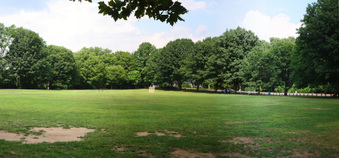 Enlarge photo 25