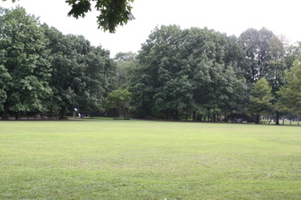 Enlarge photo 28