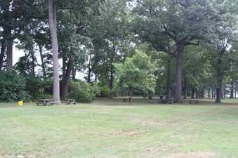 Enlarge photo 40