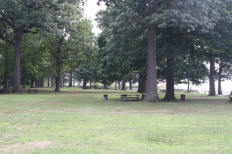 Enlarge photo 41