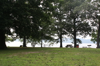 Enlarge photo 44