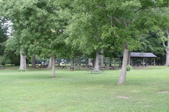 Enlarge photo 45