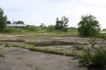 Enlarge photo 55