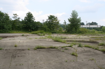 Enlarge photo 56