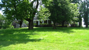 Enlarge photo 7