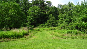 Enlarge photo 9