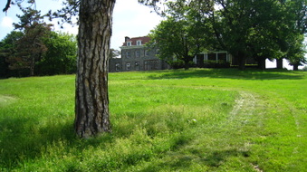 Enlarge photo 11