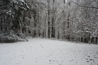 Enlarge photo 25