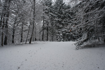 Enlarge photo 26