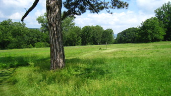 Enlarge photo 12