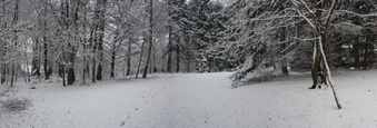 Enlarge photo 27