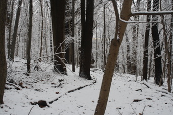 Enlarge photo 28