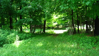 Enlarge photo 15