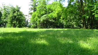 Enlarge photo 17