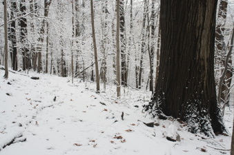 Enlarge photo 32