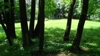 Enlarge photo 18