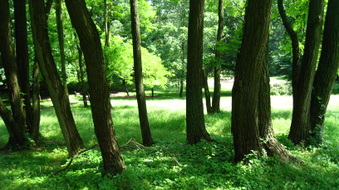Enlarge photo 19
