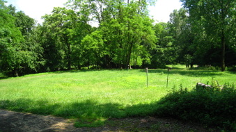 Enlarge photo 21