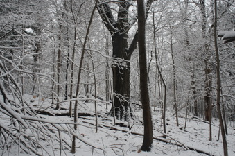 Enlarge photo 38