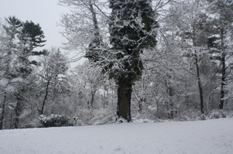 Enlarge photo 40
