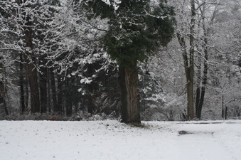 Enlarge photo 41