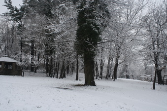Enlarge photo 42