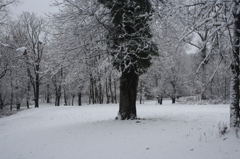 Enlarge photo 43