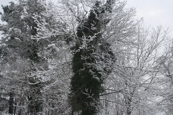 Enlarge photo 44