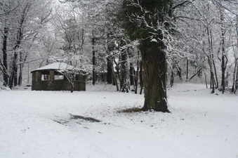 Enlarge photo 45
