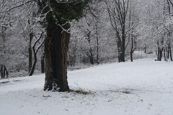 Enlarge photo 46