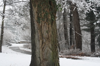 Enlarge photo 47