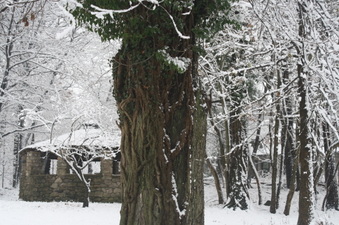 Enlarge photo 48