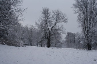 Enlarge photo 50