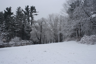 Enlarge photo 51