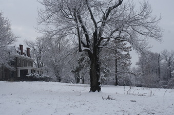 Enlarge photo 52