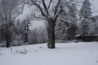 Enlarge photo 53
