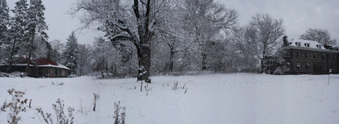 Enlarge photo 55