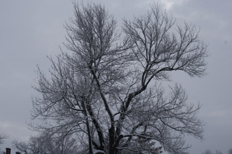 Enlarge photo 56