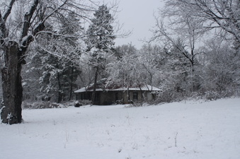 Enlarge photo 57