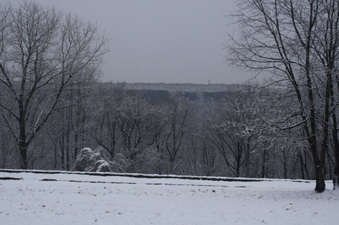 Enlarge photo 59